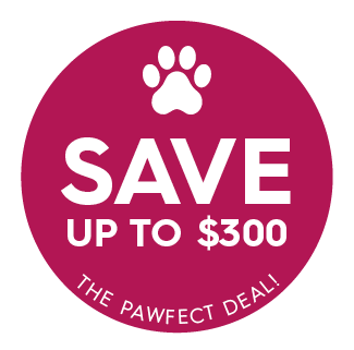 Special offer pet vaccinations