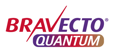 Bravecto Quantum