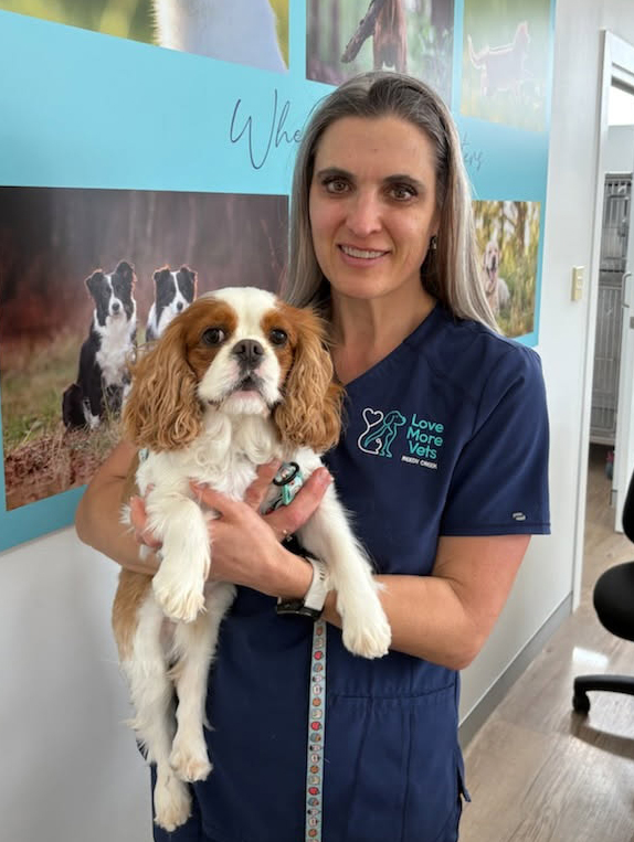 Free Worming Offer Love More Vets Reedy Creek